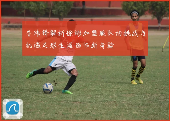 李玮锋解析徐彬加盟狼队的挑战与机遇足球生涯面临新考验
