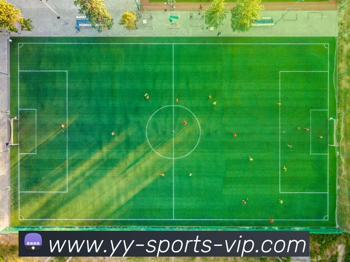 App Interface Preview